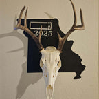 European Skull Wall Mount