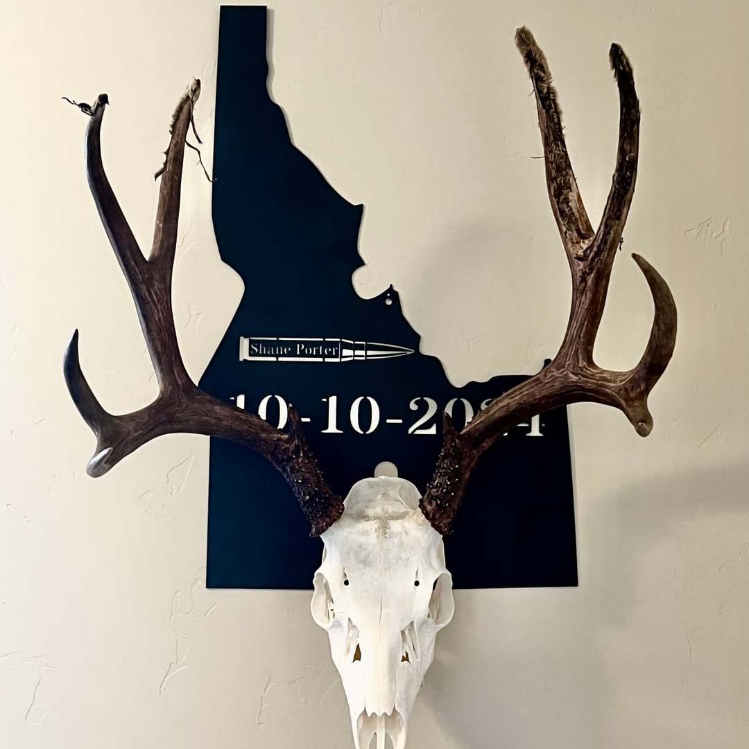 European Skull Wall Mount