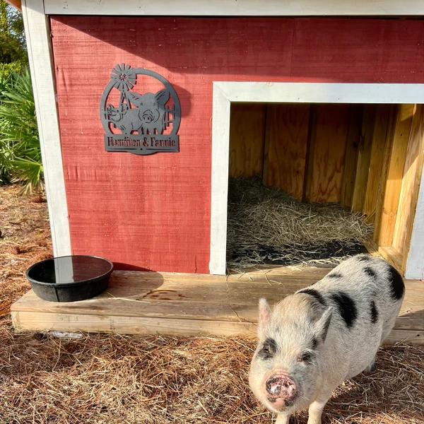 Custom Name Pig Farm Metal Sign